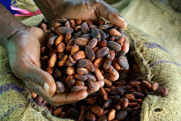 Cacao Beans as a currency