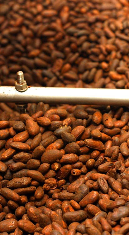 cacoa-roasting-in-chocolate-roaster